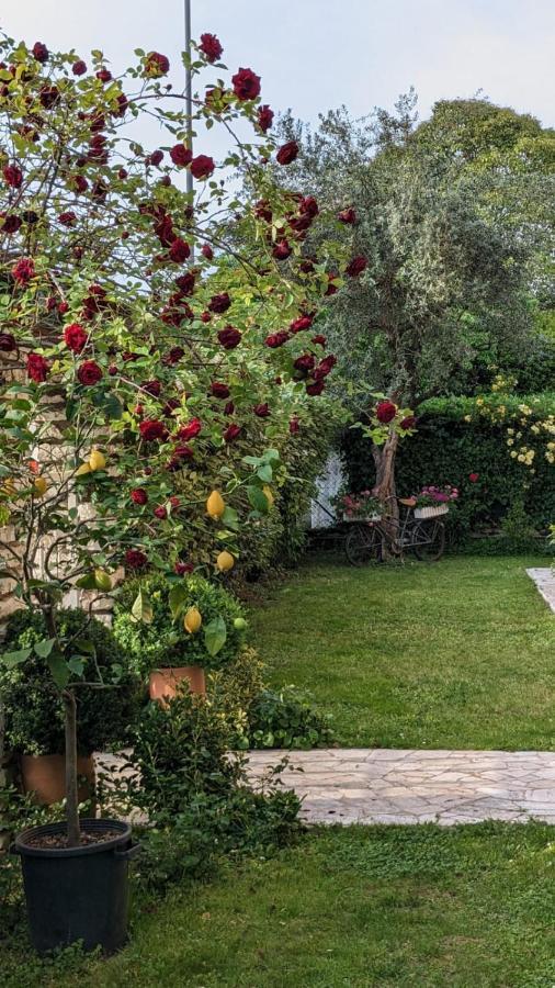 Bed & Breakfast Agli Aceri Verona Kültér fotó